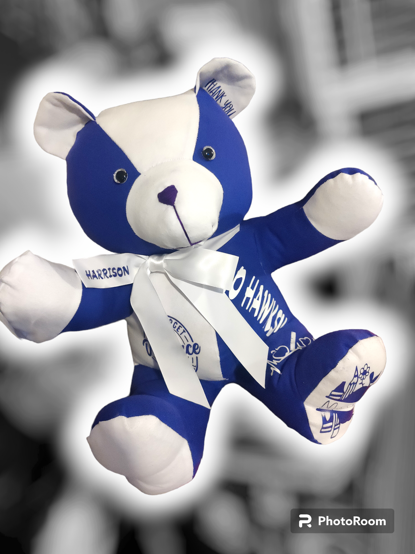 School Spirit Dude Bear (Large 15 in)