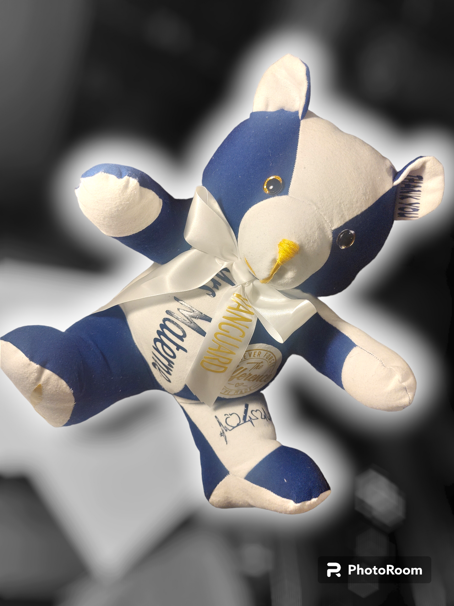 School Spirit Dude Bear (Small 12 in)